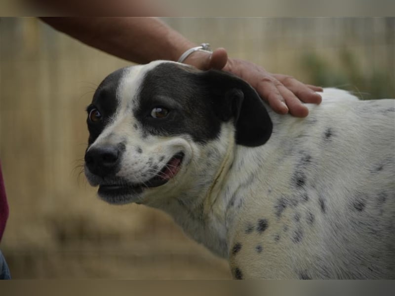 Berta sucht ihre Familie
