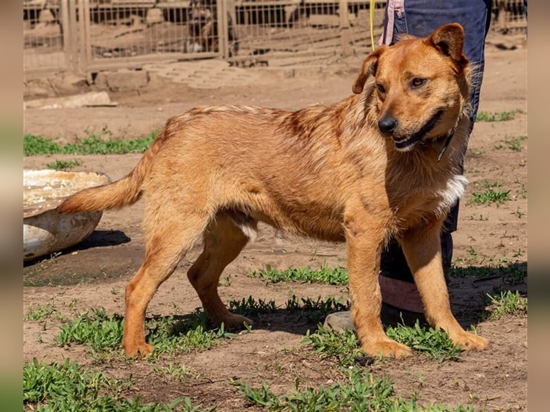 Swamp, aus mir kann noch etwas werden