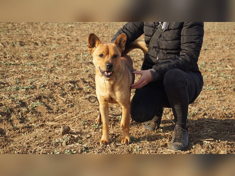 Maggi, mit Hummeln im Hintern sucht Ihre Lieblingsmenschen