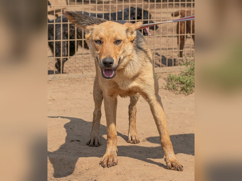 Beka, am Anfang etwas schüchtern, dann mit vollem Herzen dabei