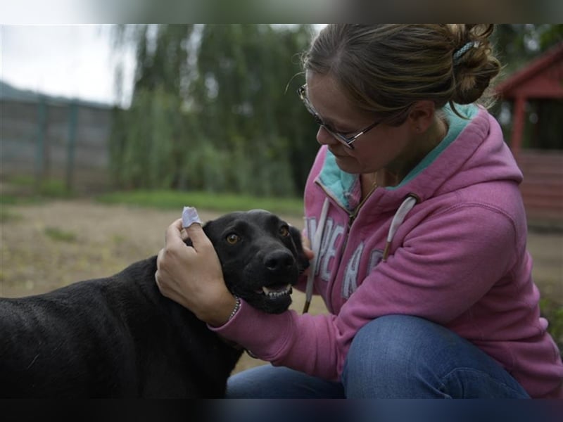 LIZA, die sportliche Liebe
