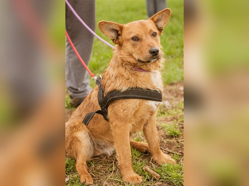 Swamp, aus mir kann noch etwas werden