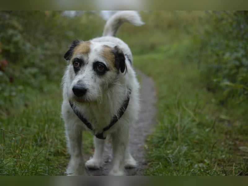 Motte, ganz liebes Mädchen möchte endlich ankommen