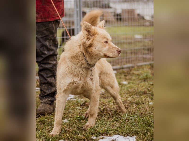 Iris, junge hübsche Lady sucht wieder ihre Familie auch mit Kindern