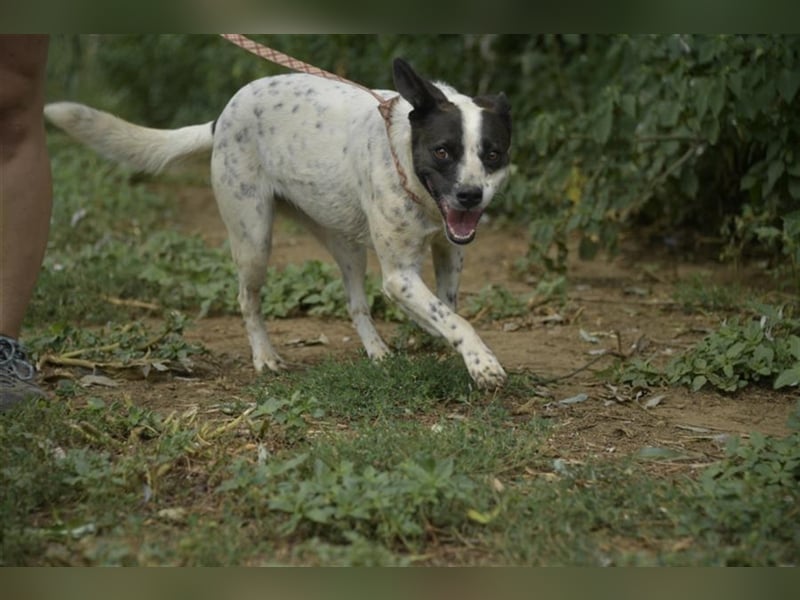 Berta sucht ihre Familie