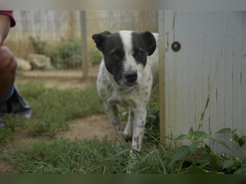 Berta sucht ihre Familie