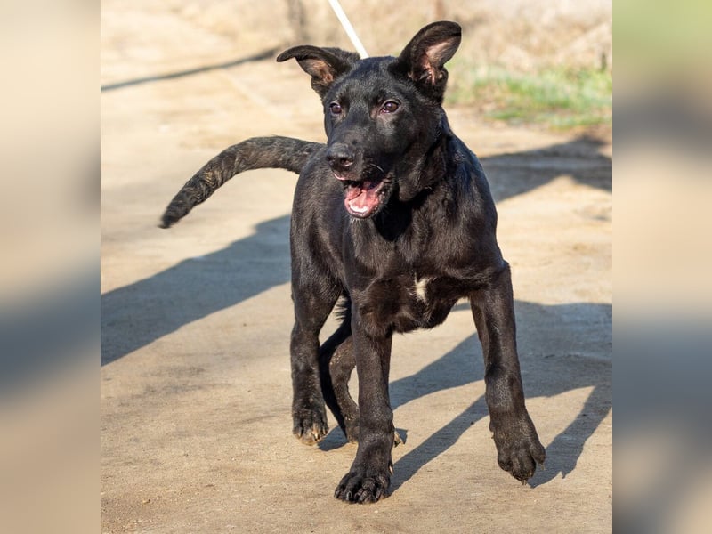 Filip, junger Möchtegern spielt für sein Leben gern