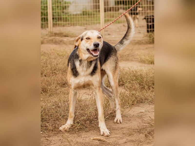 Fitos, der Gute-Laune-Bär wünscht sich eine aktive Familie