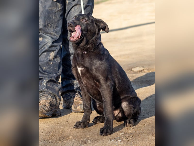 Filip, junger Möchtegern spielt für sein Leben gern
