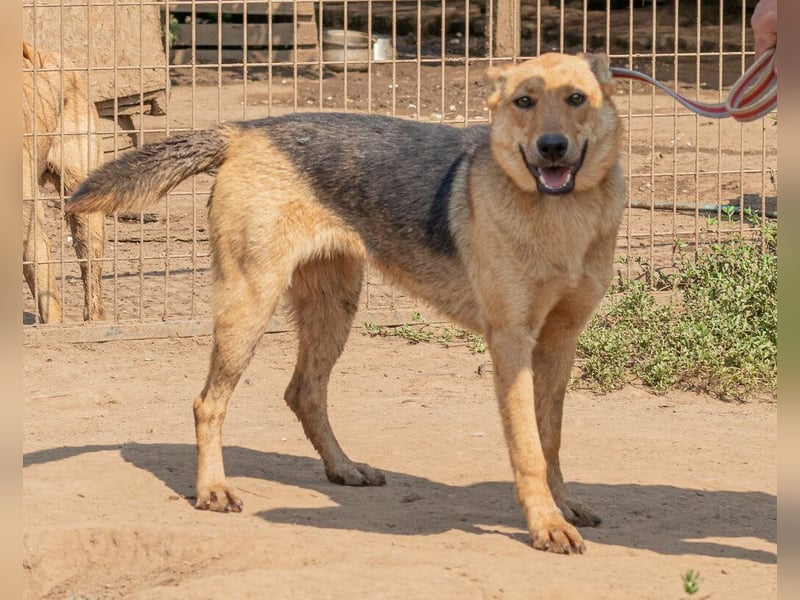 Beka, am Anfang etwas schüchtern, dann mit vollem Herzen dabei