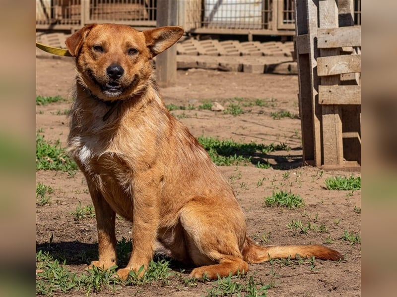 Swamp, aus mir kann noch etwas werden