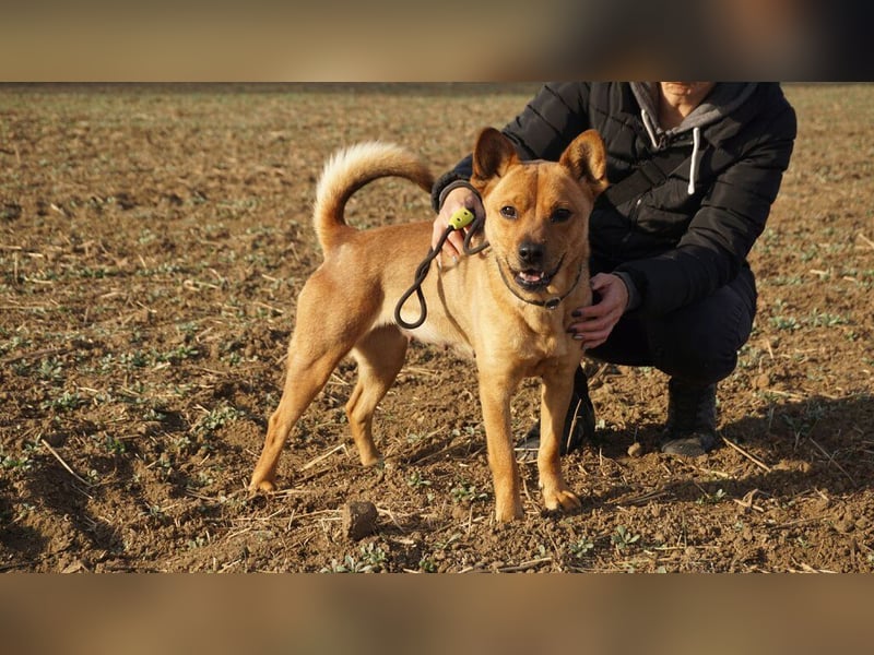 Maggi, mit Hummeln im Hintern sucht Ihre Lieblingsmenschen