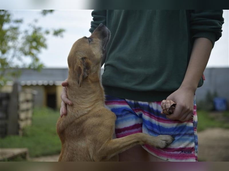 ÖRS sucht Lieblingsmensch für eine immer währende Kuscheleinlage