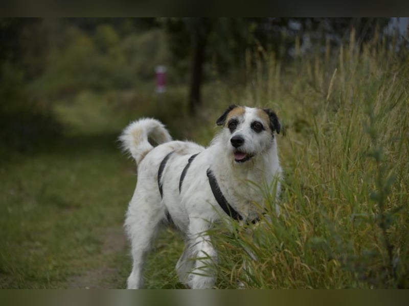 Motte, ganz liebes Mädchen möchte endlich ankommen