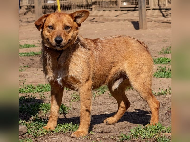 Swamp, aus mir kann noch etwas werden