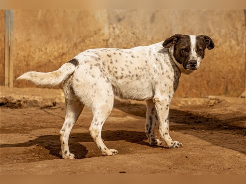 Berta sucht ihre Familie