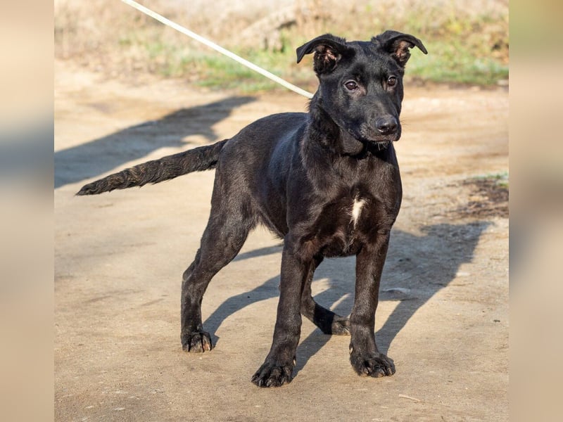 Filip, junger Möchtegern spielt für sein Leben gern