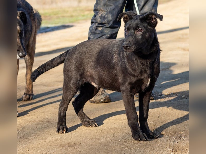 Filip, junger Möchtegern spielt für sein Leben gern