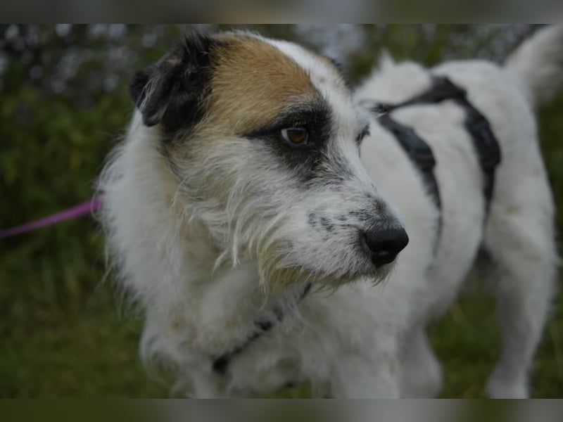 Motte, ganz liebes Mädchen möchte endlich ankommen