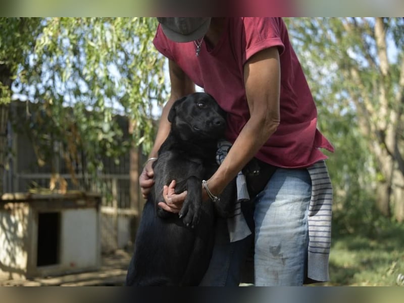 Billy-baut gerne Sandburgen, braucht dabei aber einen sicheren Partner an seiner Seite