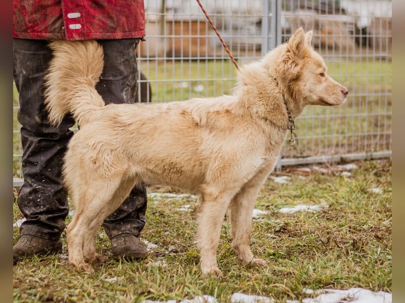 Iris, junge hübsche Lady sucht wieder ihre Familie auch mit Kindern