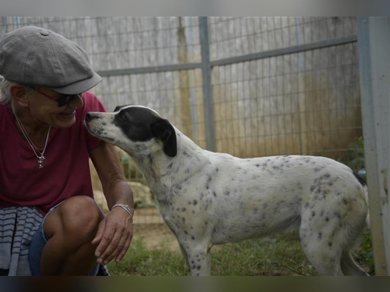 Berta sucht ihre Familie