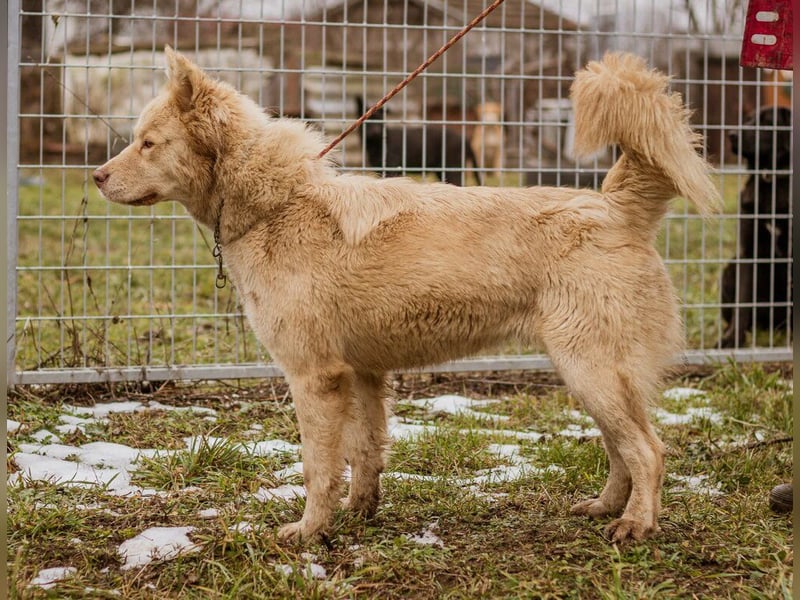 Iris, junge hübsche Lady sucht wieder ihre Familie auch mit Kindern