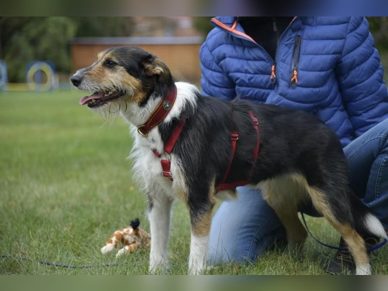 Frieda, ein Flumi auf vier Pfoten
