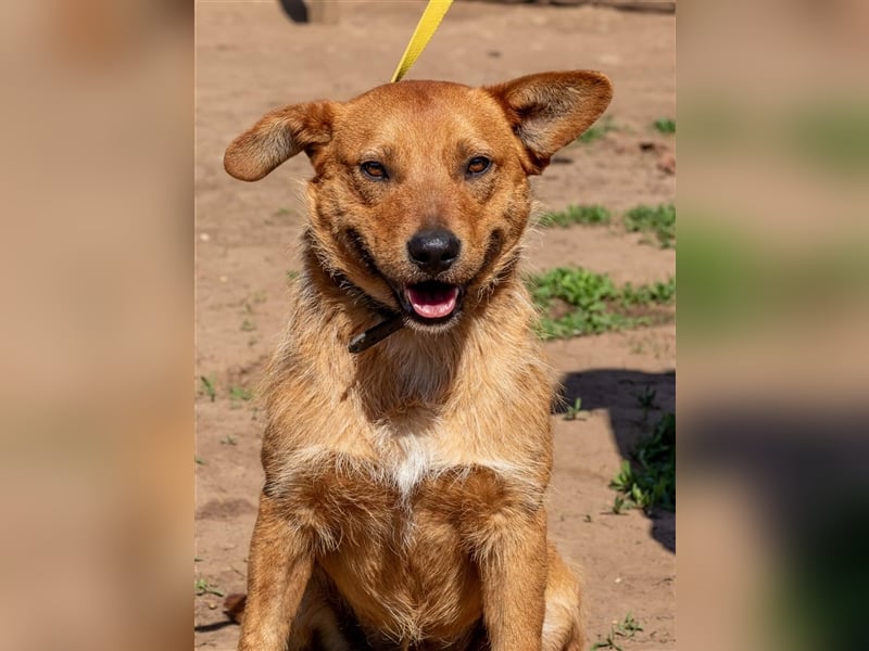 Swamp, aus mir kann noch etwas werden