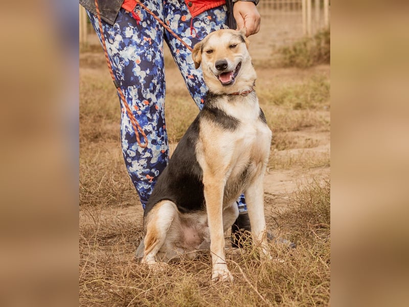 Fitos, der Gute-Laune-Bär wünscht sich eine aktive Familie