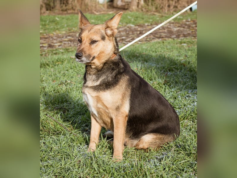 Vanda, treu und ergeben wartet sie auf ihre Chance