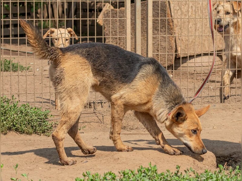 Beka, am Anfang etwas schüchtern, dann mit vollem Herzen dabei