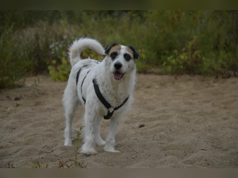 Motte, ganz liebes Mädchen möchte endlich ankommen