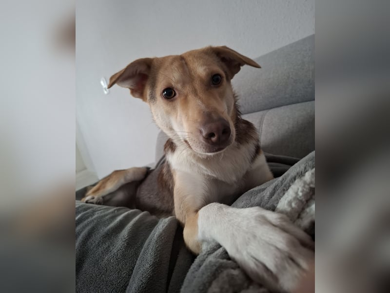 LARA möchte die Natur entdecken