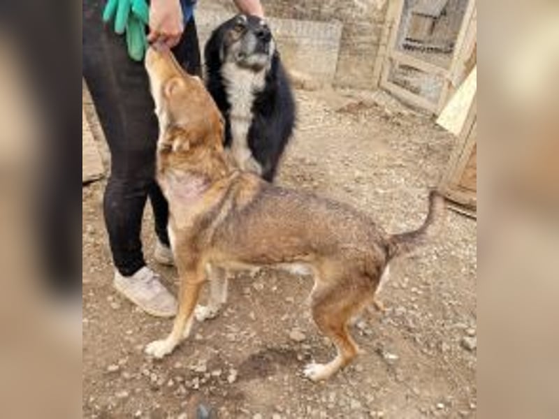 HOPE - weil die Hoffnung zuletzt stirbt