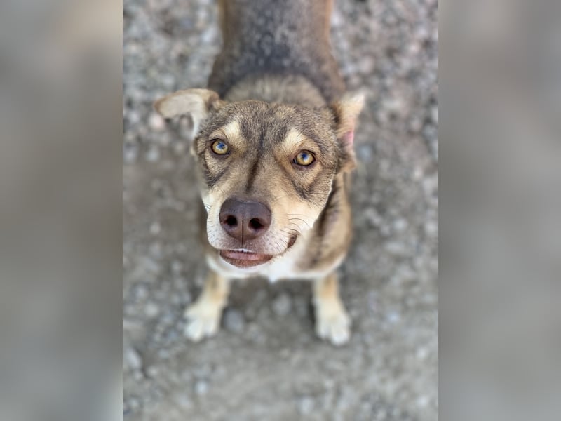 HOPE - weil die Hoffnung zuletzt stirbt