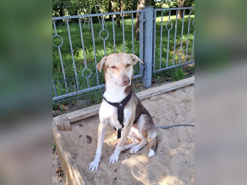 LARA möchte die Natur entdecken