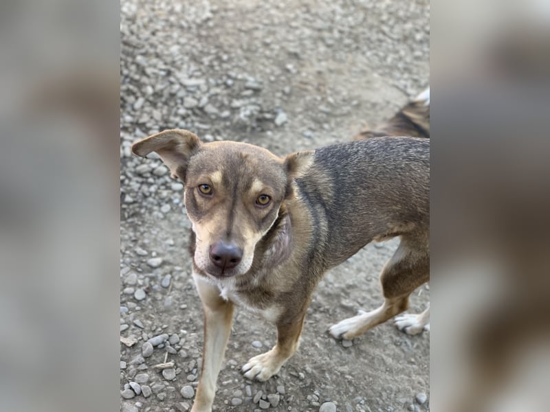 HOPE - weil die Hoffnung zuletzt stirbt