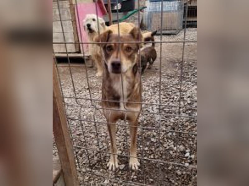 HOPE - weil die Hoffnung zuletzt stirbt