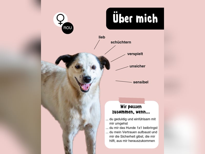 BEA - endlich frei