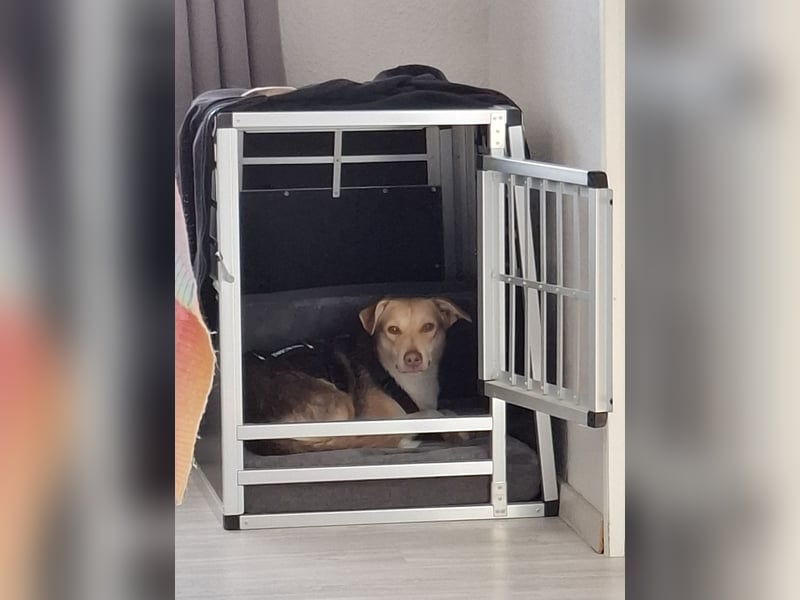 LARA möchte die Natur entdecken