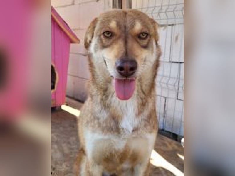 HOPE - weil die Hoffnung zuletzt stirbt