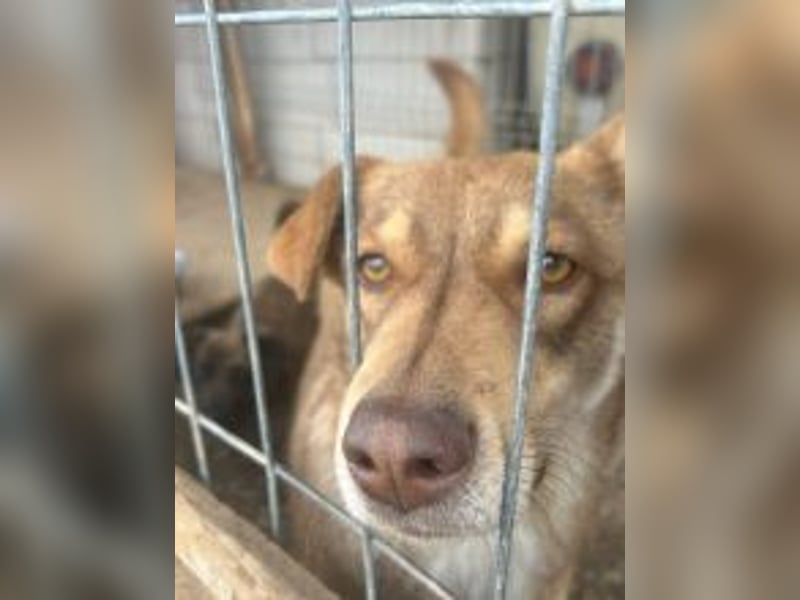 HOPE - weil die Hoffnung zuletzt stirbt