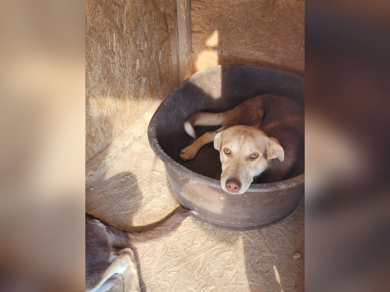 LARA möchte die Natur entdecken