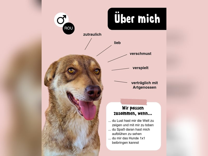 HOPE - weil die Hoffnung zuletzt stirbt