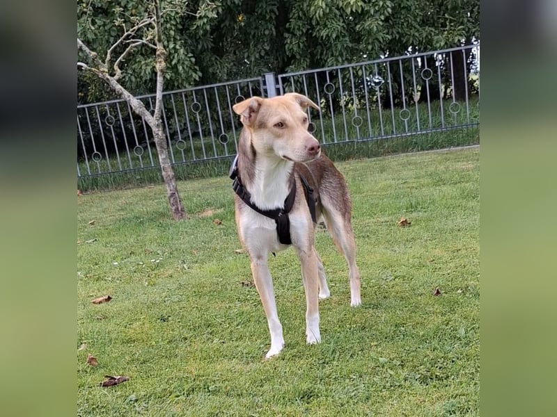 LARA möchte die Natur entdecken