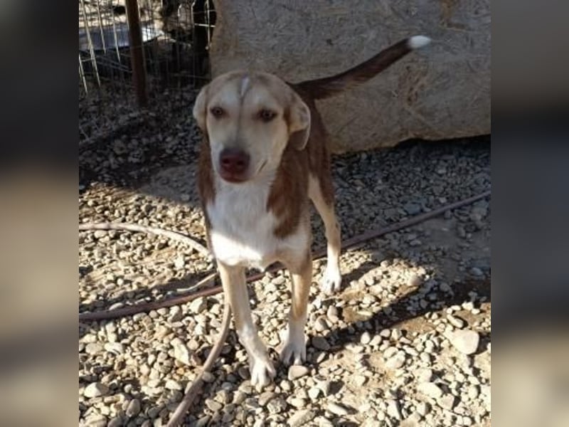 LARA möchte die Natur entdecken