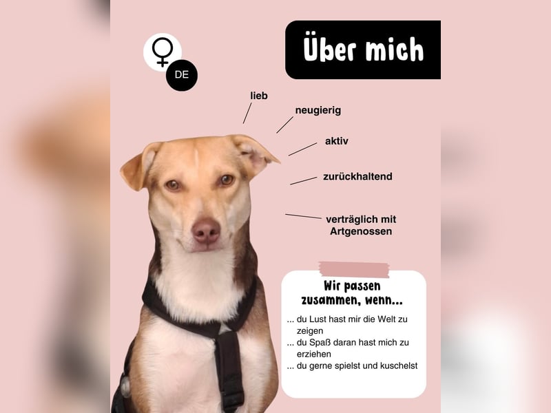 LARA möchte die Natur entdecken