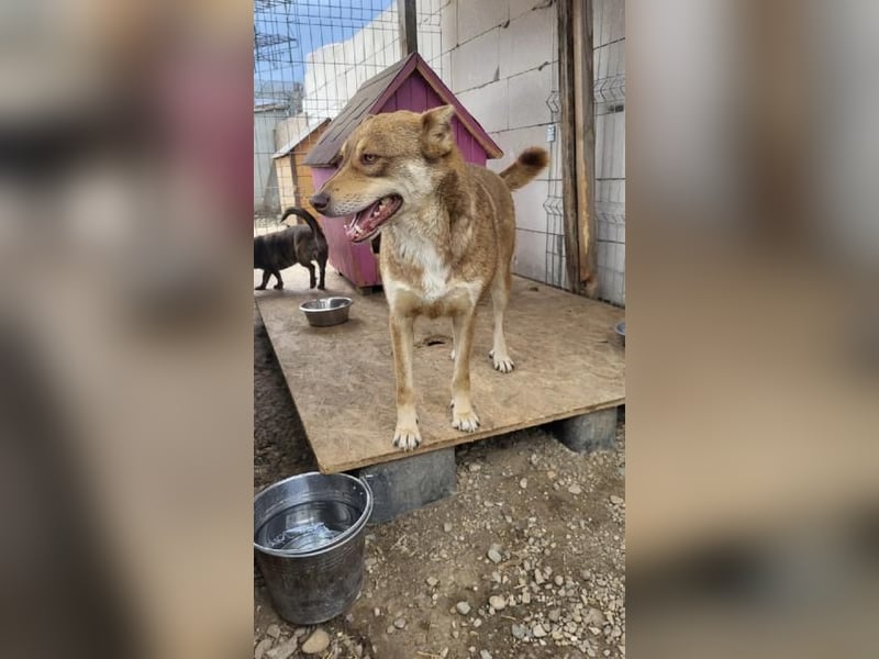 HOPE - weil die Hoffnung zuletzt stirbt