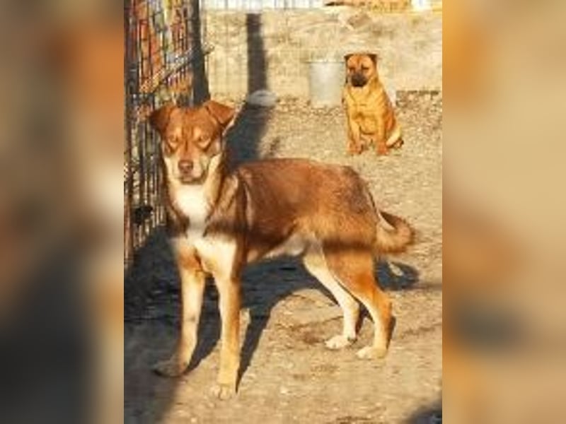 HOPE - weil die Hoffnung zuletzt stirbt